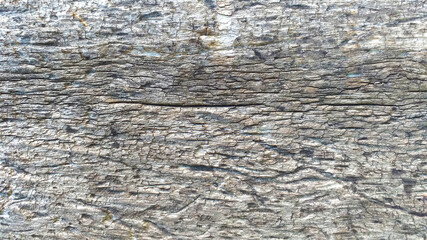 old wood texture photo