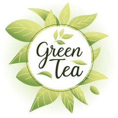 green tea with leaves around circle vector design