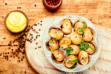 Bourgogne escargot snails