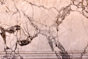 A shot of a white marble plate along with some irregular black patterns over it