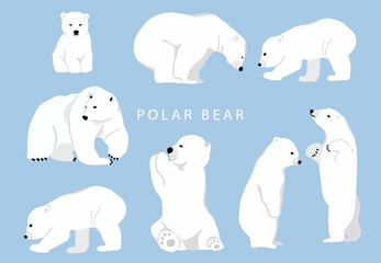 Simple white bear character.Vector illustration character doodle cartoon