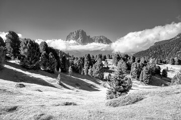 Val Gardena, infrared surreal landscape of forest and Langkofel