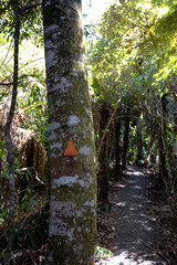 A tramping track in Hunua Ranges, with track marker