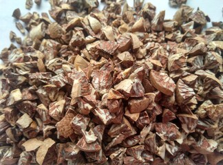 Betel nuts in small pieces on white background