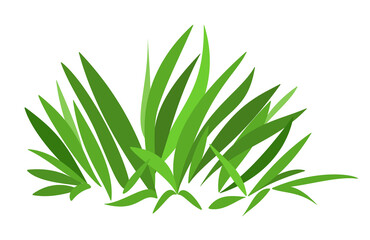Fototapeta na wymiar Simple stylized green grass