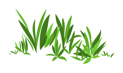 Simple stylized green grass