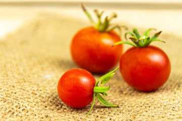 Tomatoes on wood background