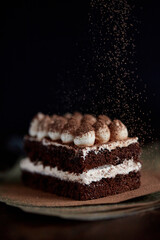 Delicious classic italian tiramisu dessert on dark background, gluten free