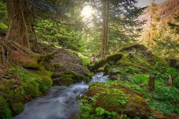 waterfall in the forest