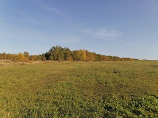 Autumn field under a clear sky