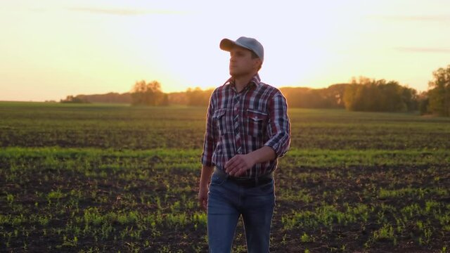 Young happy male farmer man in rubber boots, shirt walking through vegetables growing green field of wheat at sunset spring, Farming Agriculture harvesting food farmland ground concept 4 K slow-mo