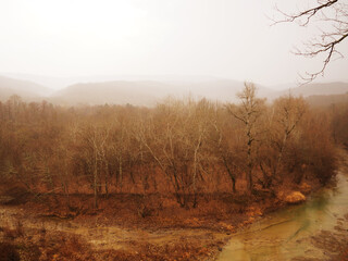 Obraz premium blurred natural background with selective focus and tinted, Forest floor of red, orange and yellow leaves