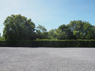 Parking lot sprinkled with gravel bush green tree blue sky nature background