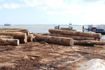 Tropical timber from Amazon rainforest, forestry industrial activity in the port of Santarem, State...