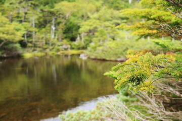 初秋の北八ヶ岳　北横岳　静寂の中の七ツ池