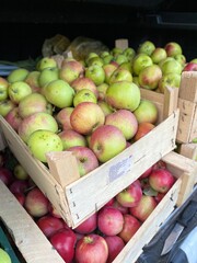 apples in a box