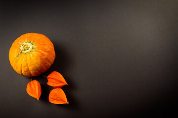 Orange pumpkin, physalis on a black background