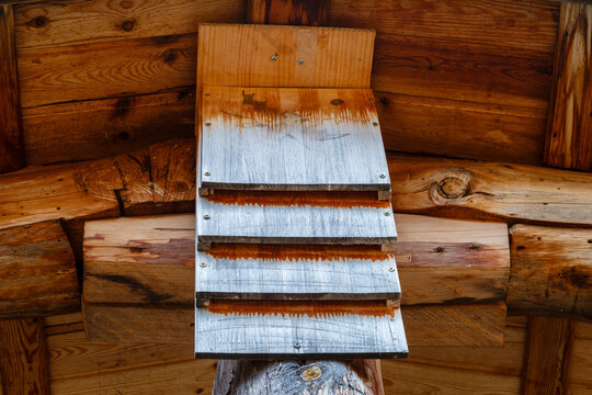 Detail of a shelter box for bats.