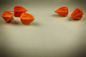 Orange physalis five pieces close-up on a light background, texture