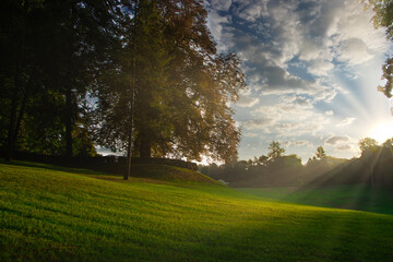 Park and recreation area in the city, green field and trees with morning sunrise