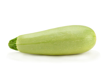 Marrow squash vegetable