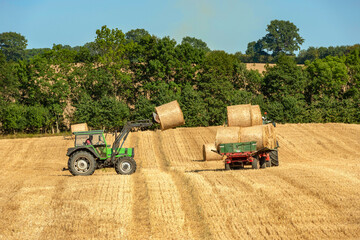 Loading of straw rolls after grain harvest - 3480