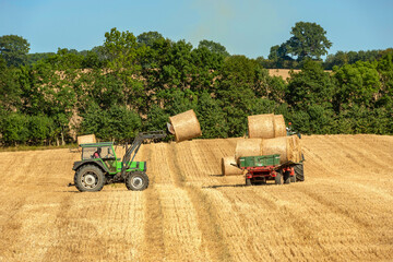 Obraz premium Loading of straw rolls after grain harvest - 3480