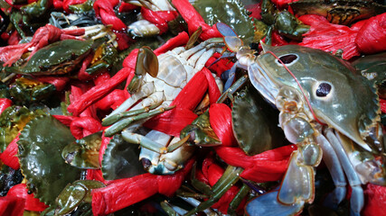 Crabs are sold in supermarkets