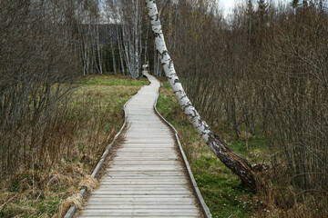 The picture from the protected area in Czech Republic called 