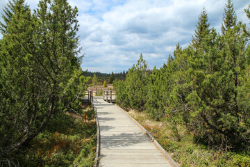 The picture from the protected area in Czech Republic called 