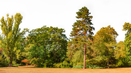 Obraz premium Panoramic view of a city park in Autumn colors isolated at white background with no sky.