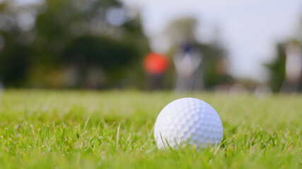 新緑のゴルフ場