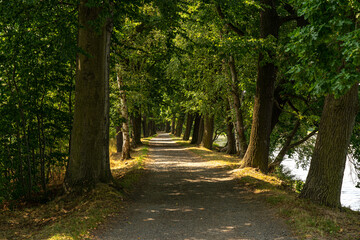 allee