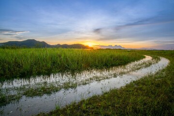 River gutter, green grass, sunset, blue mountains, yellow
