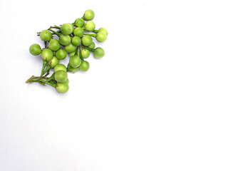 fresh eggplant isolated on white