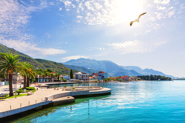 Tivat, Porto Montenegro, sunny summer day view
