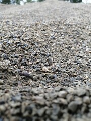 stones in the sand