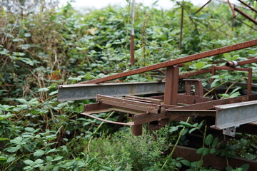 Metall Schrott - die Natur k&auml;mpft sich zur&uuml;ck