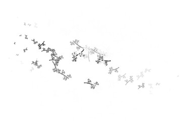 Light Gray vector doodle pattern with branches.