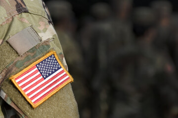 Veterans Day. Memorial day. US soldier. US Army. The United States Armed Forces. Military forces of...