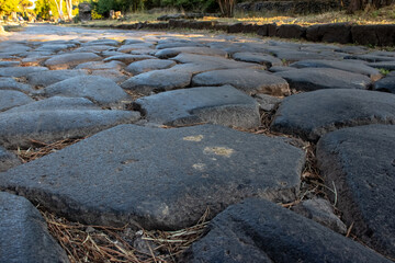 The ancient appia is the most famous street in Rome.