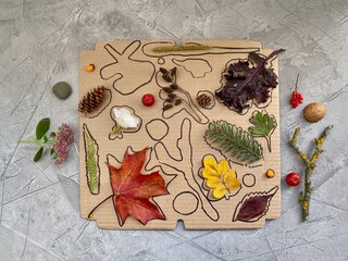 On a cardboard box, silhouettes of natural material are drawn, a Children's game for attention,