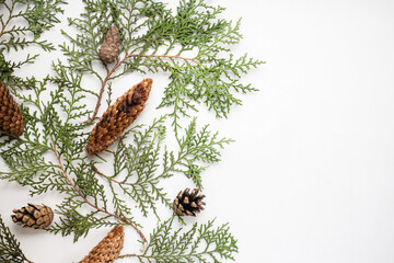 branches of thuja and cones on a white background. background for the winter holidays. minimalistic...