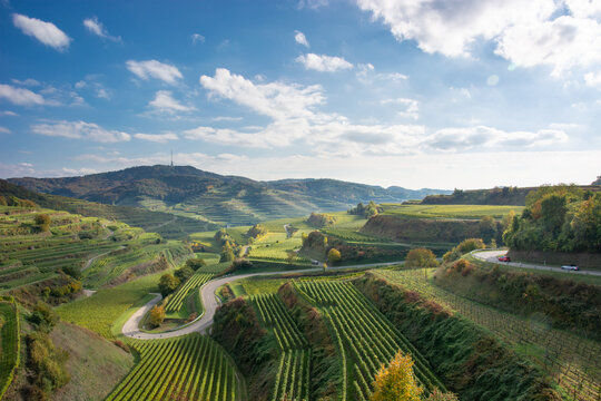 Texaspass - Passh&ouml;he im Kaiserstuhl zwischen Oberbergen und Kiechlinsbergen - Aussichtspunkt mit Blick auf Totenkopf / Baden-W&uuml;rttemberg / Deutschland