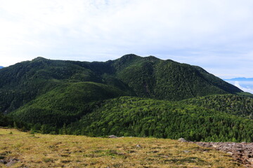 Obraz premium 初秋の北八ヶ岳 双子山から北横岳、大岳を望む