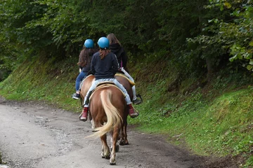 Fotobehang andare a cavallo cavalcare maneggio gita a cavallo  © franzdell