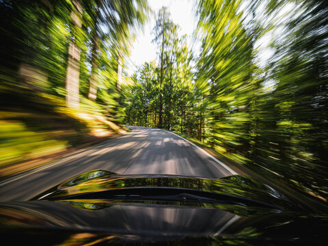 Schnelle Fahrt durch den Wald 1