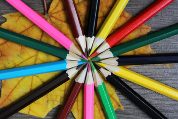 Fototapeta premium Set of colored pencils folded in a circle
