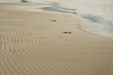 Fototapeta na wymiar Sand pattern texture, sand by the sea