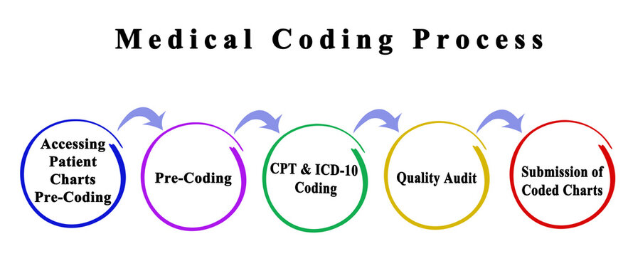  Components of Medical Coding Process